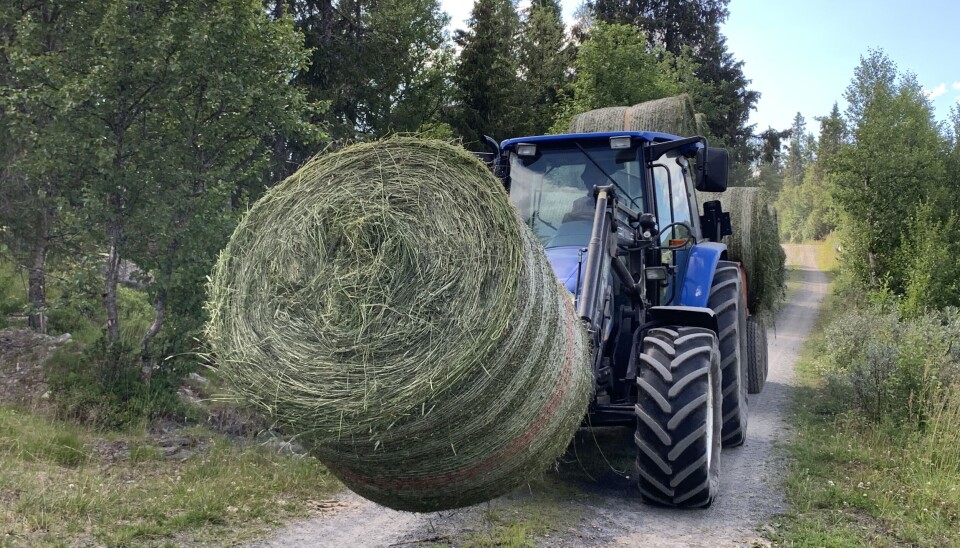 Traktor med rundballer på henger og en i front.