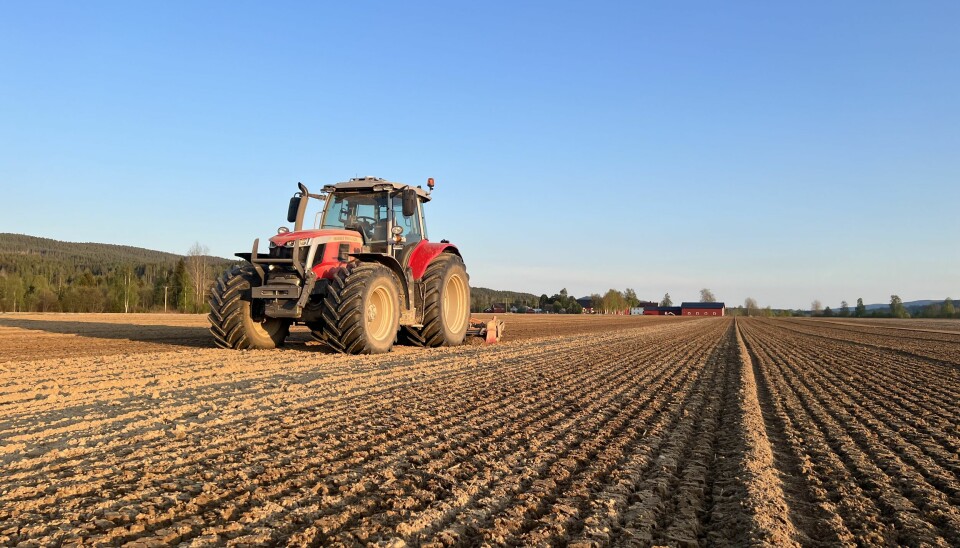 En massey Ferguson traktor ute på et flatt jorde i Solør i gang med jordbearbeiding en solrik dag om våren.