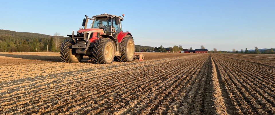 En massey Ferguson traktor ute på et flatt jorde i Solør i gang med jordbearbeiding en solrik dag om våren.