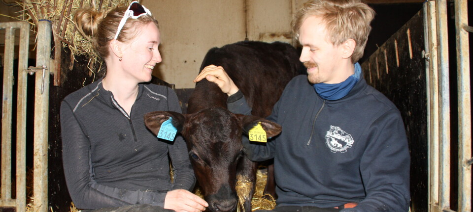 Ta vare på avløserne