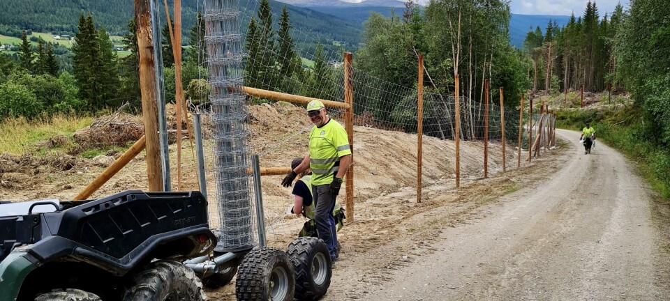 De har gjerdet Norge på langs