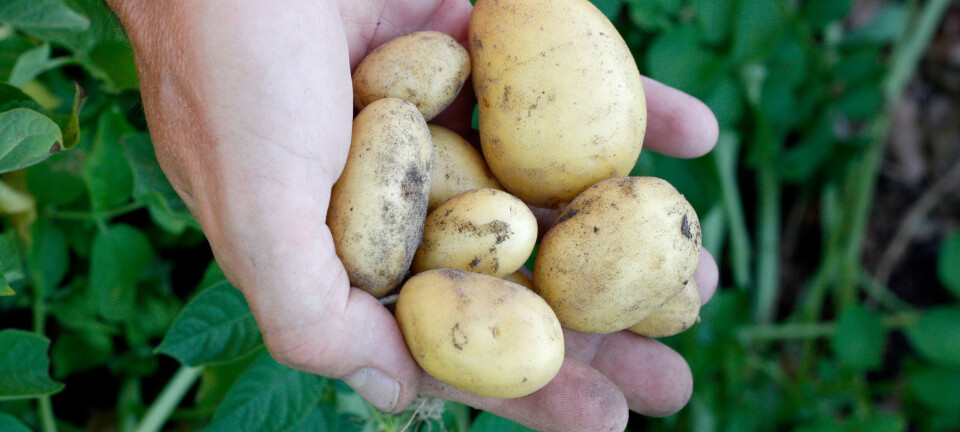 Alle vil tjene penger, ingen vil innrømme at de gjør det