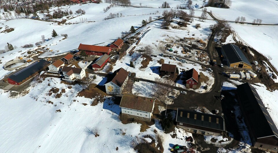 Nytt gjødsellager: Bør du velge kum eller kjeller?