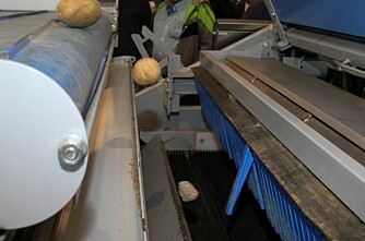 Automatiske fingre plukker ut stein fra potetene