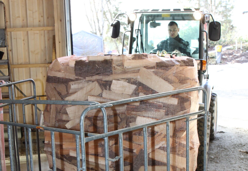 Hva er riktig pris på veden?