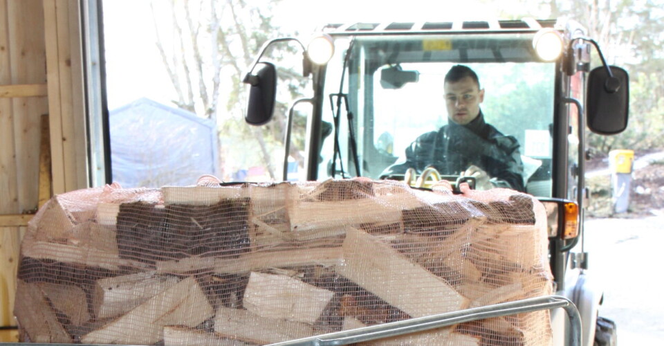 Hva er riktig pris på veden?