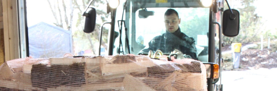 Hva er riktig pris på veden?