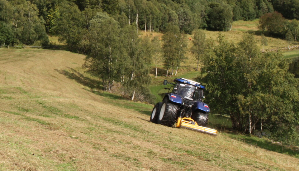Beitepusseren Ahead NMB:Nykomlingen blir satt på prøve