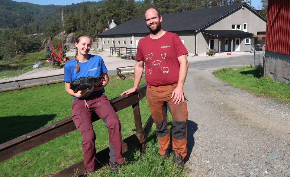 De gir seg rådgiverne i vold