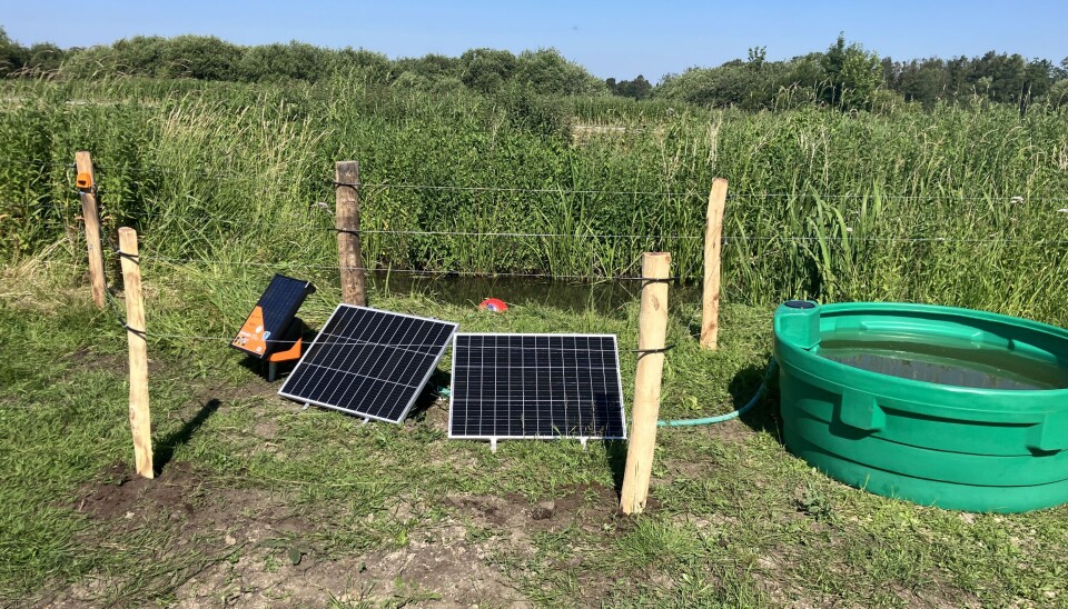 Lorentz feltpumpe Feltpumpe og solceller