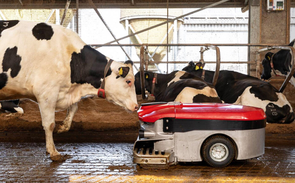 Lely Discovery Collector C2 gjødseloppsamlingsrobot