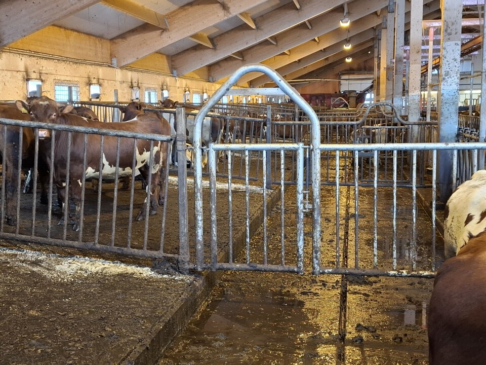 Offisielle fjøsnyheter du kan se på Agroteknikk port i bue