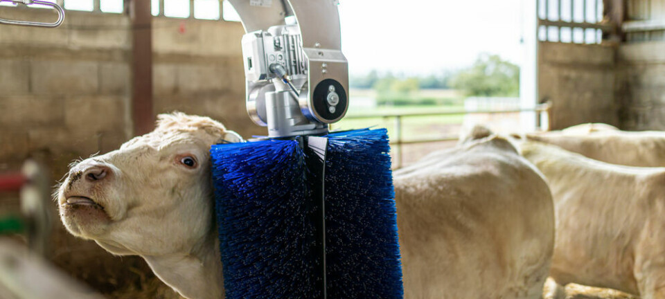 Offisielle fjøsnyheter du kan se på Agroteknikk