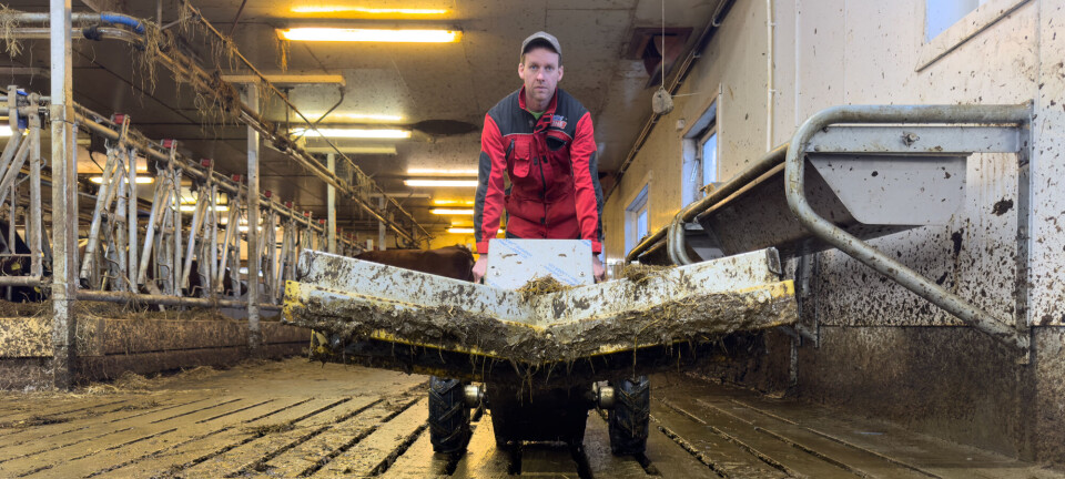 Rimelig mekanisering av gjødselskrapinga