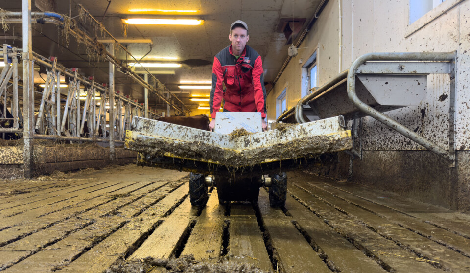 Rimelig mekanisering av gjødselskrapinga