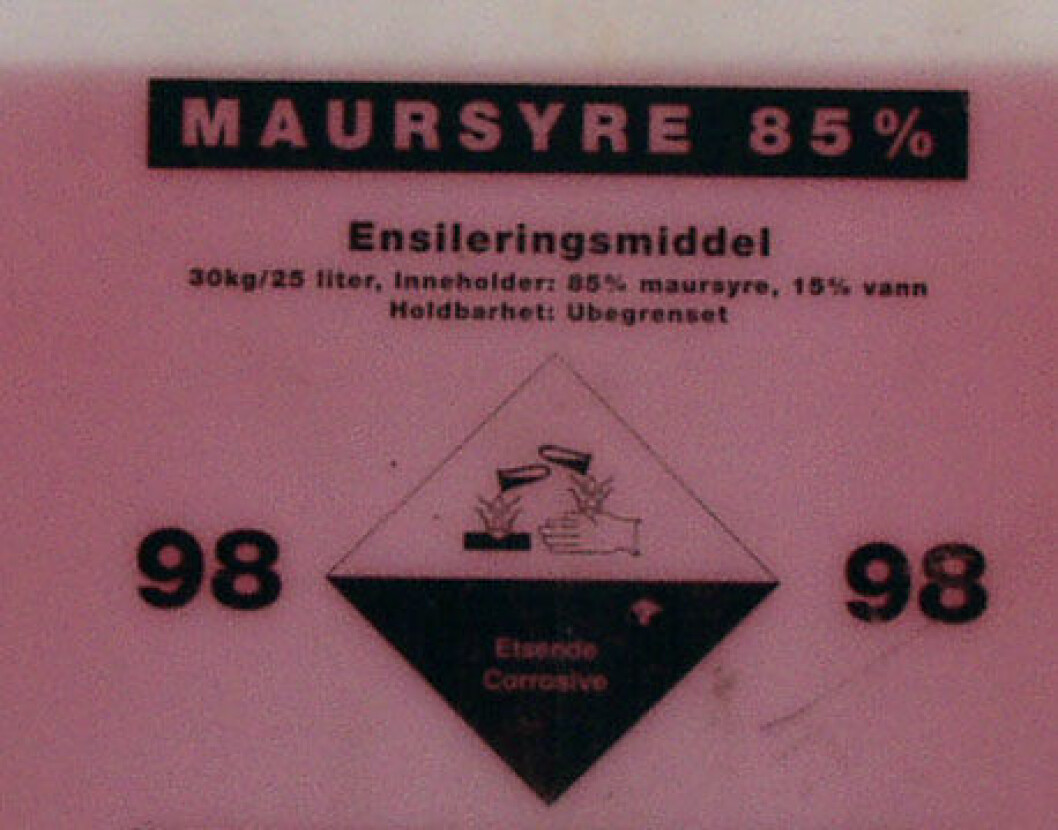 maursyre etsefare maursyre etsefare