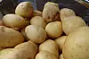 En haug med vaskede tidligpoteter fra Reddal