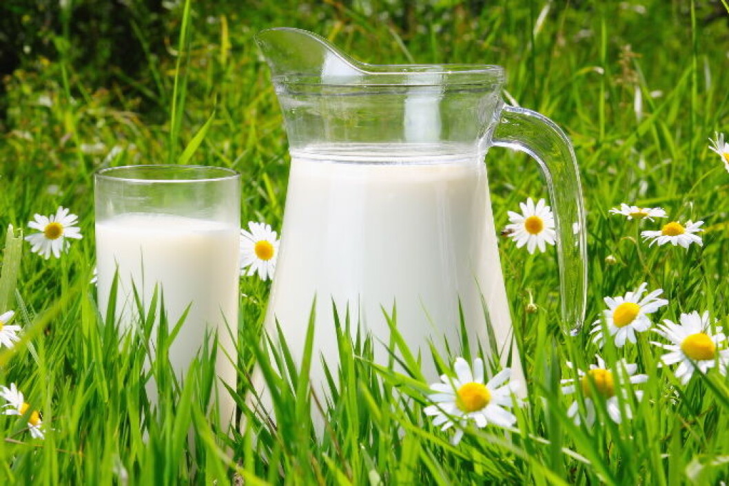 Melk frokost COLOURBOX4411534 Melk frokost COLOURBOX4411534