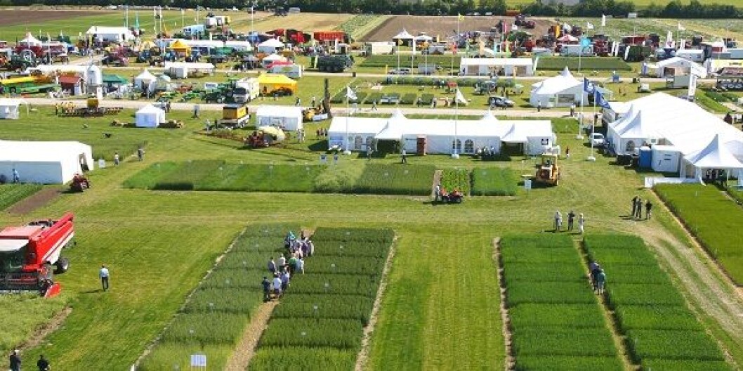 Borgeby_1 Borgeby_1