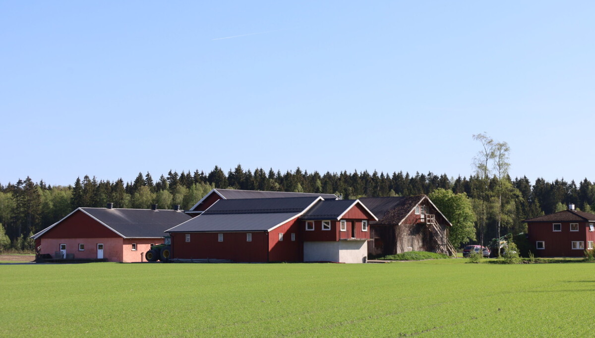 Økonomien på Ringsby Gard i Rakkestad