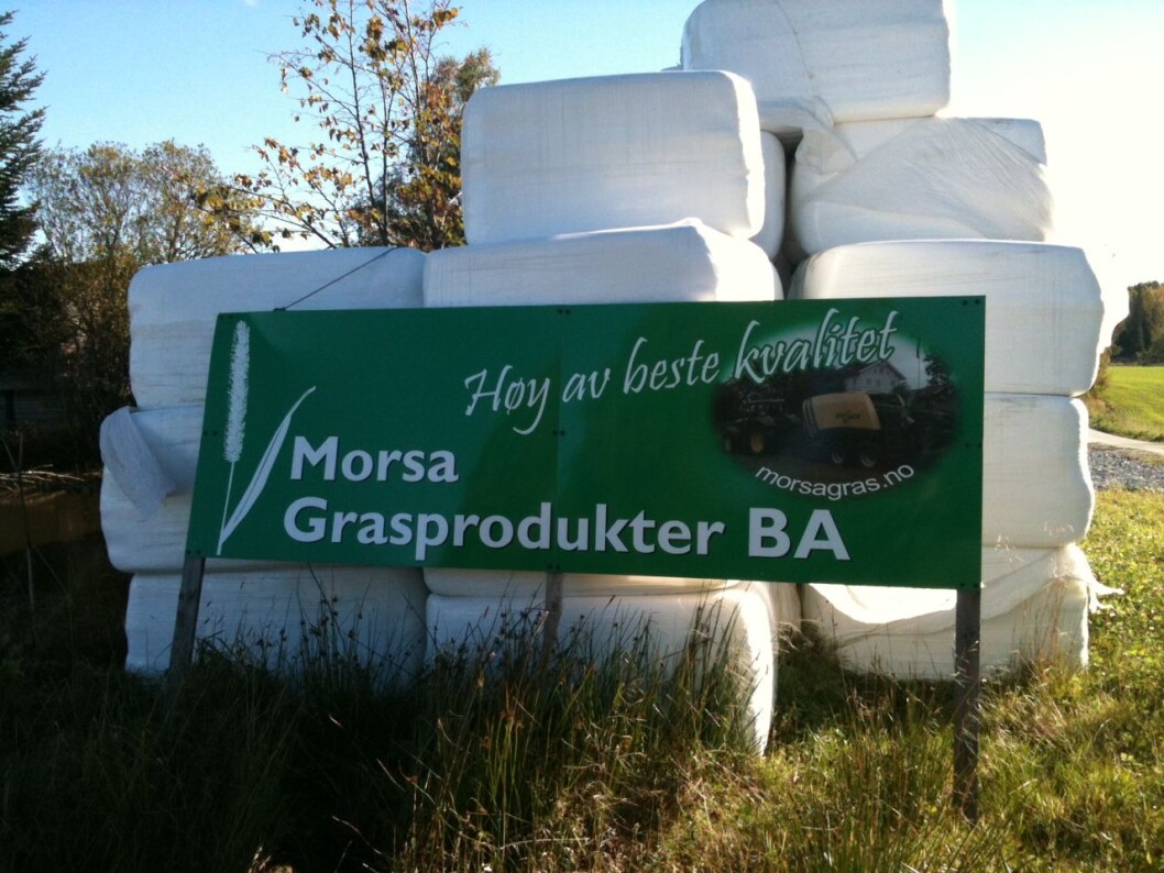 Morsahøy Morsahøy