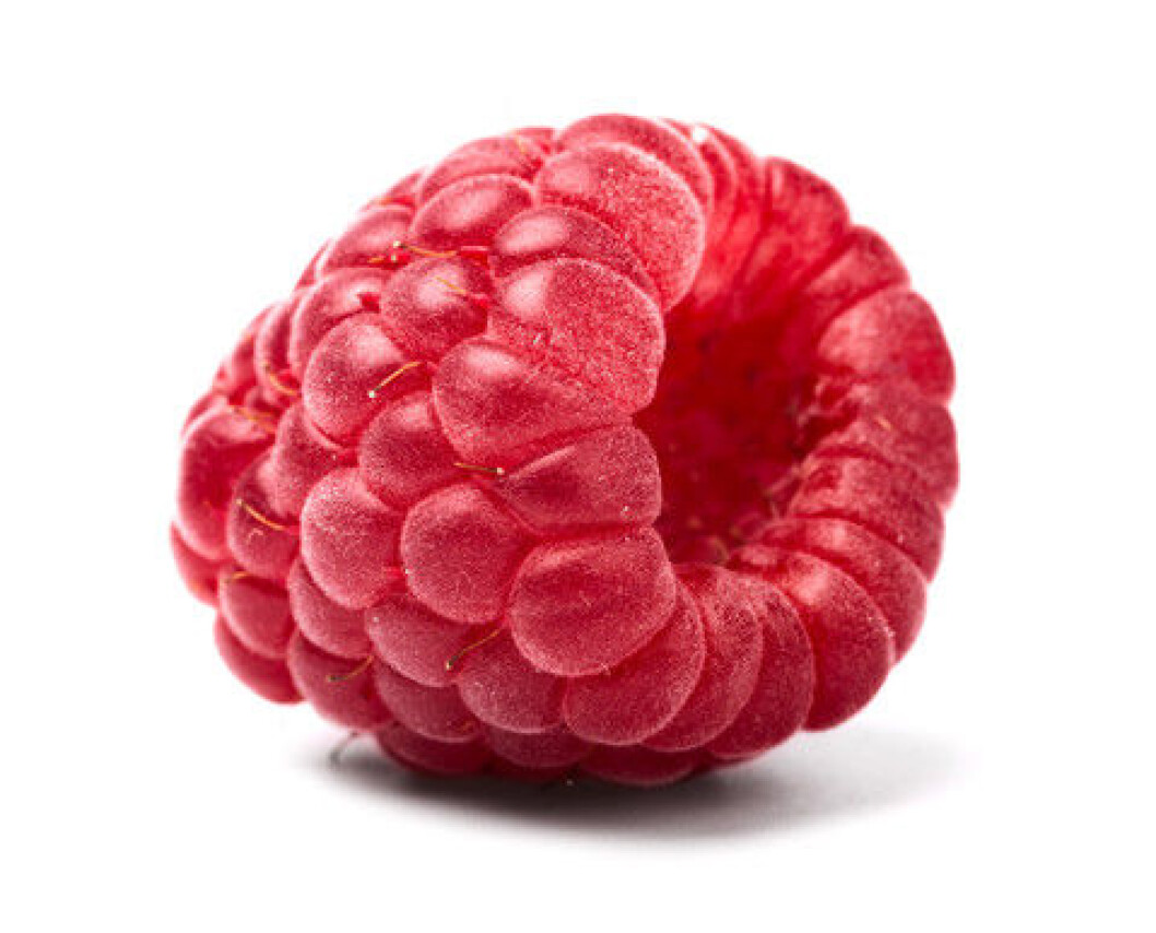 bringebær bringebær