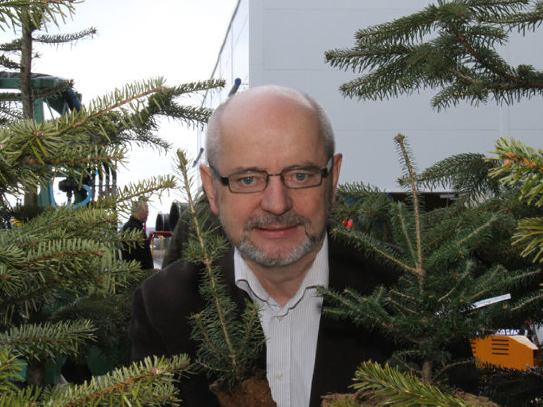 Norsk juletre Tord Langmoen Norsk juletre Tord Langmoen