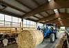 En blå New Holland T5S traktor med en halmballe på frontlasteren kjørende inn på fôrbrettet i et storfefjøs i utlandet.