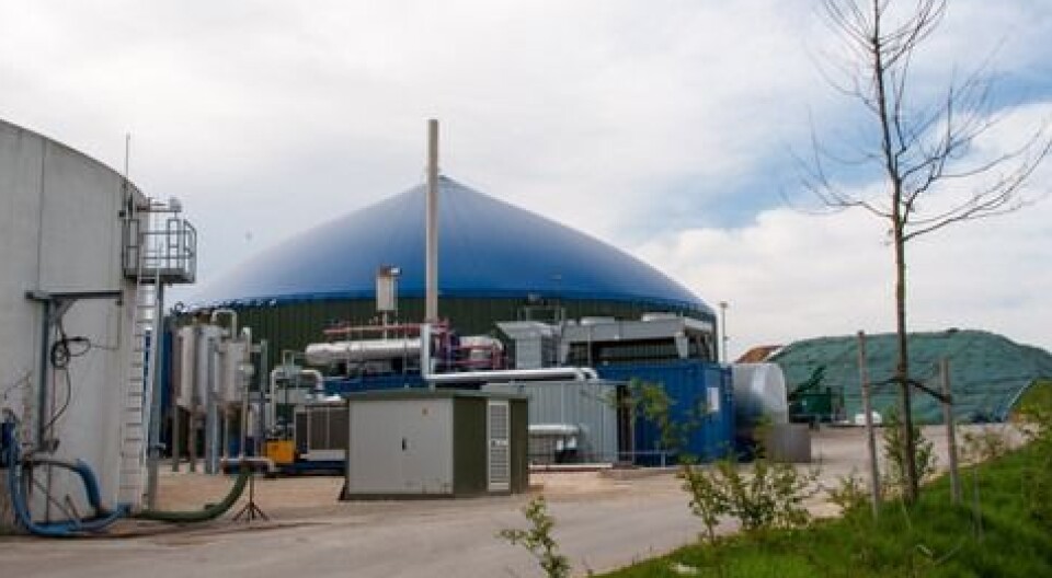 Biogassanlegg er kostbare installasjoner.