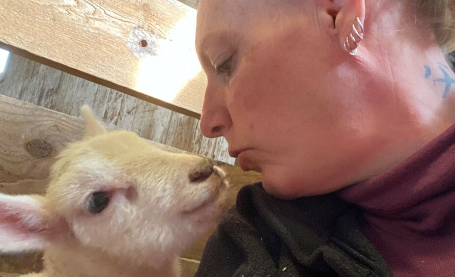 Mener det er penger å tjene på kopplamproduksjon