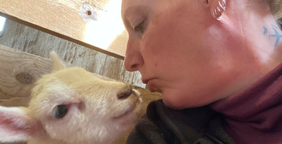 Mener det er penger å tjene på kopplamproduksjon