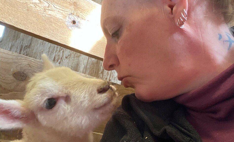 Mener det er penger å tjene på kopplamproduksjon