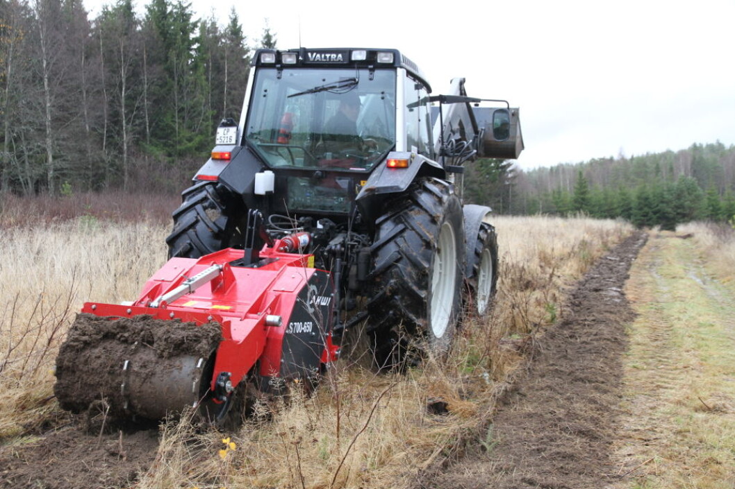 Stubbfresing av juletrefelt Stubbfresing av juletrefelt