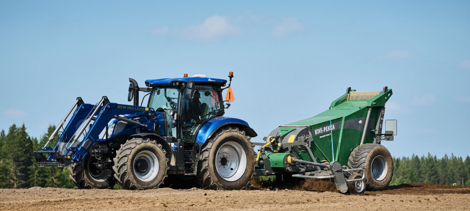 Stueren steinplukking
