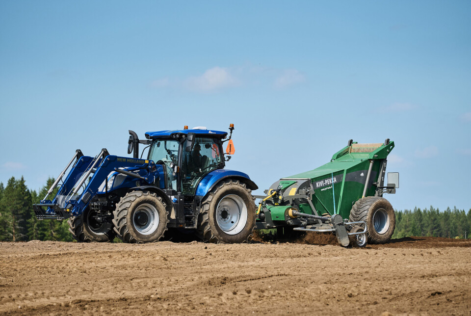 Stueren steinplukking