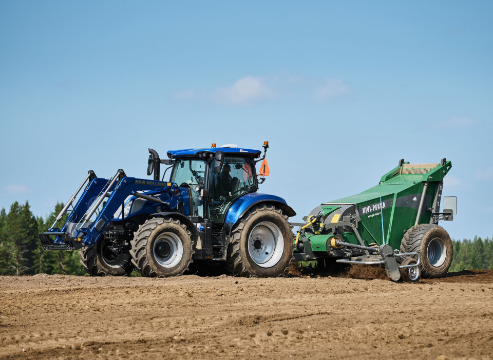 Stueren steinplukking