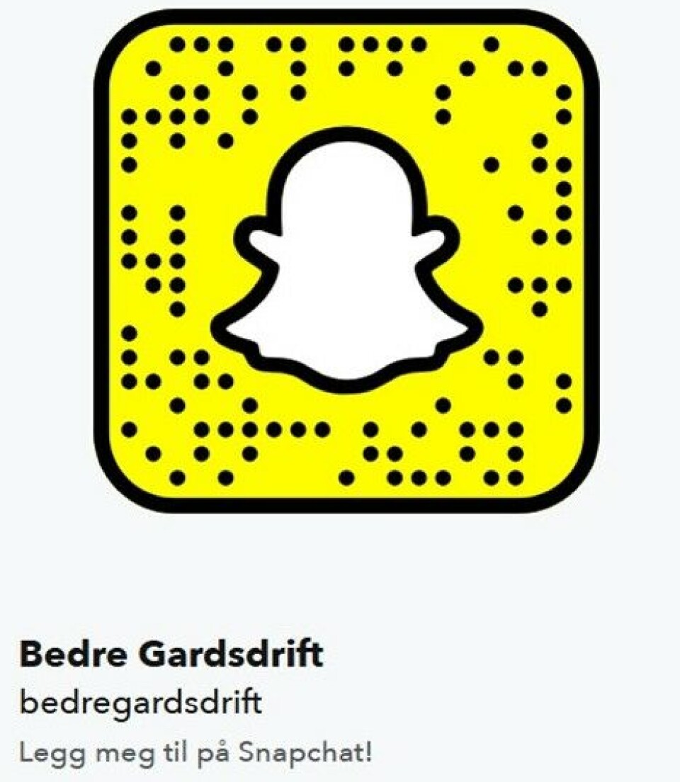 Legg oss til på SnapChat og få oppdateringer fra Agrovisjon. QR-kode for å følge BG på SnapChat
