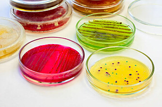 Advarer mot resistente bakterier