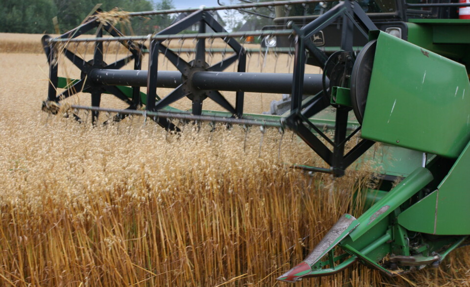 Lite beredskapsjord for matkorn