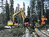 Jostein og Tormod Frøyse poserer i skogen med Komatsu gravemaskin med hogstaggregat