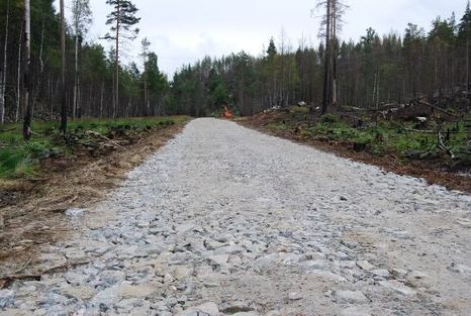 Skogsveger som har vaska seg!