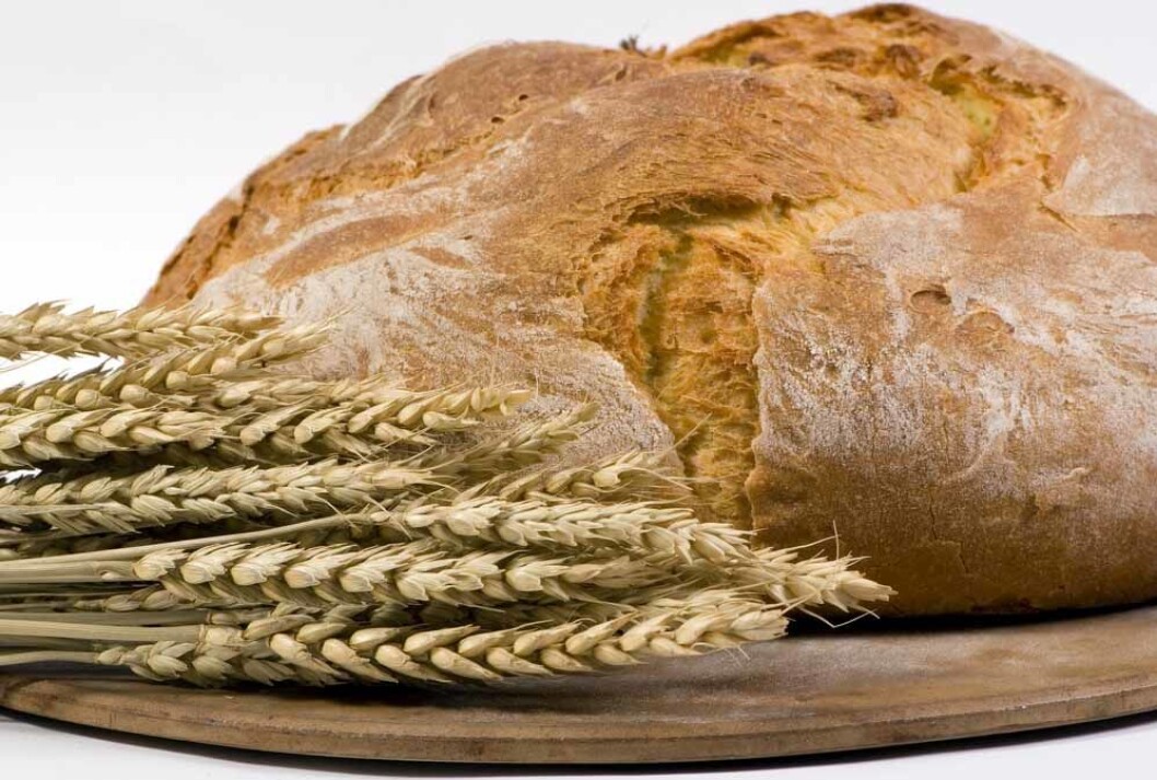 brød og hvete brød og hvete