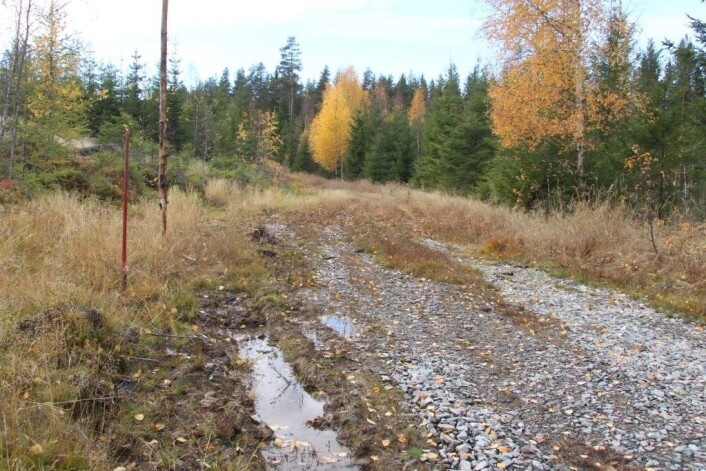 Marker også snuplassene godt, og tråkk dem i tide så de fryser. Marker også snuplassene godt, og tråkk dem i tide så de fryser.