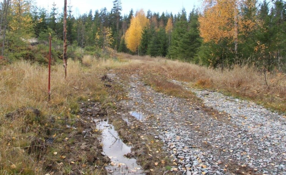 Marker også snuplassene godt, og tråkk dem i tide så de fryser. En snuplass inn på skogen