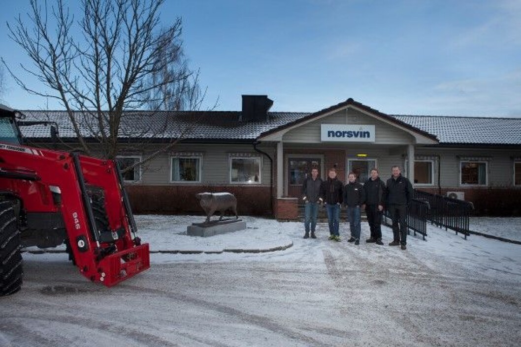 Eiksentret Furnes Norsvin Eiksentret Furnes Norsvin