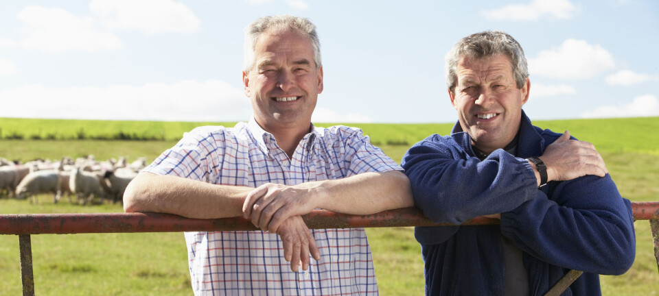 Én av to bønder har tilleggsnæringer