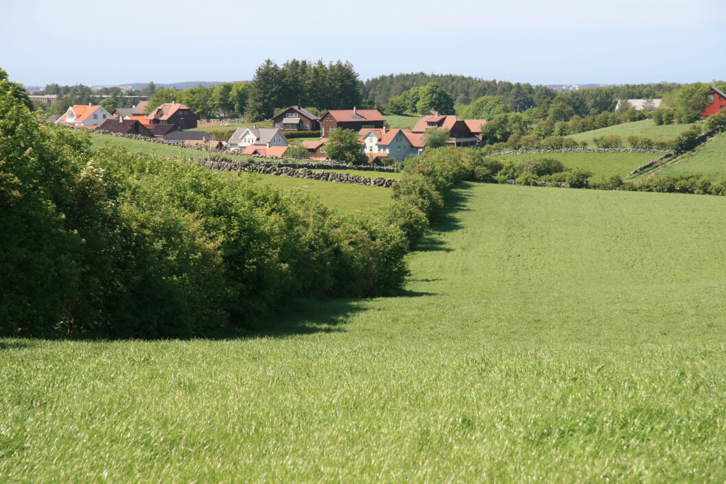 Leplanting-Jæren Leplanting-Jæren