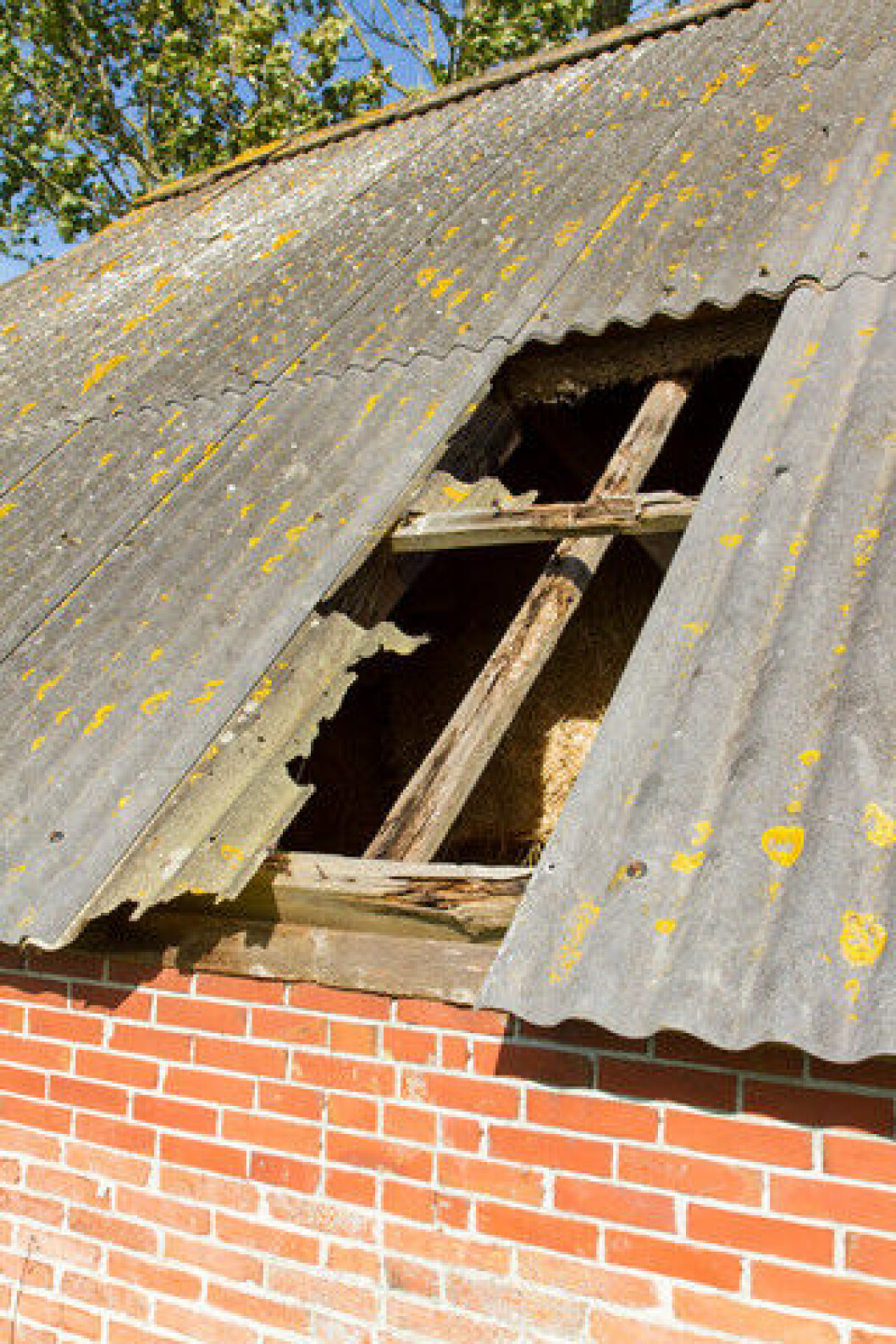 Forfallent hus Forfallent hus