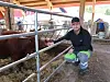 Magne Landrø kneler ved siden av en binge med kalver i det nye kalvefjøset