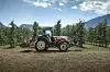 Frukttraktor sett fra siden med rekker av frukttrær i bakgrunnen